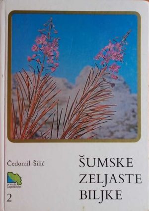 Šumske zeljaste biljke