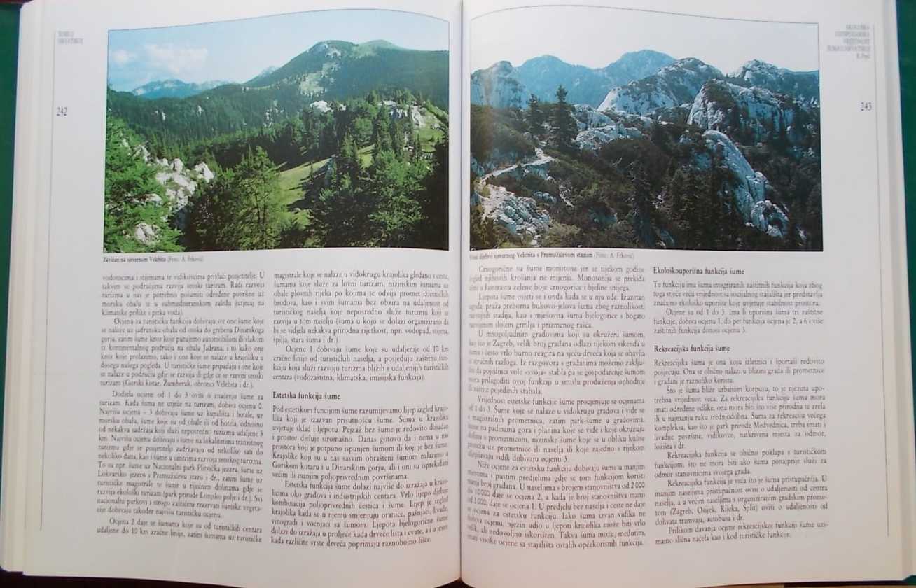 Šume u Hrvatskoj - Slika 3