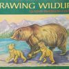 Cook-Drawing Wildlife