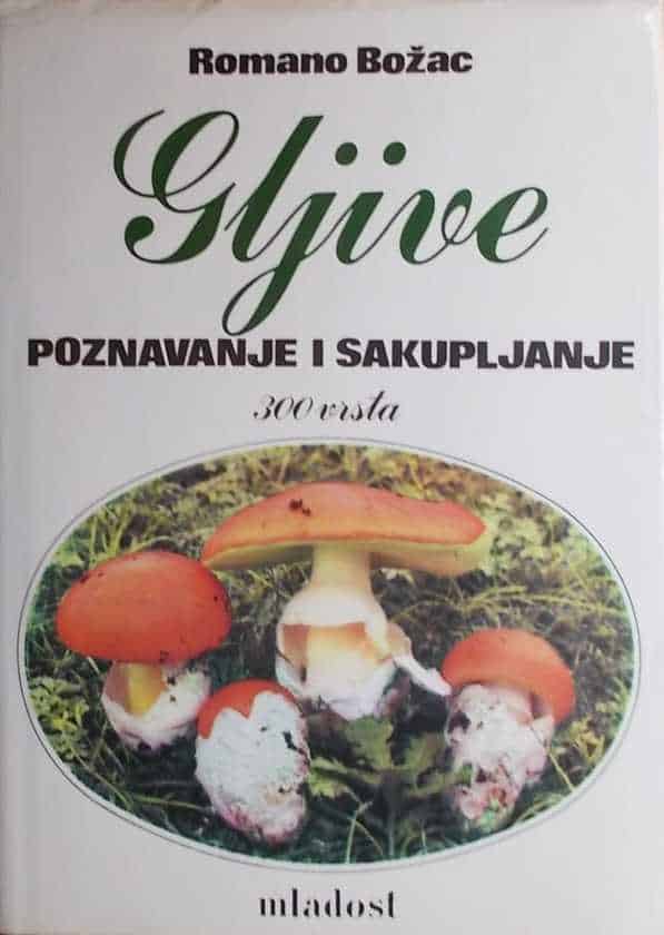 Božac: Gljive poznavanje i sakupljanje
