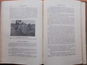 Franić: Plitvička jezera i njihova okolica (4)