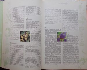 Toplak Galle: Hrvatsko ljekovito bilje (1)