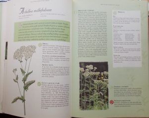Toplak Galle: Hrvatsko ljekovito bilje (2)