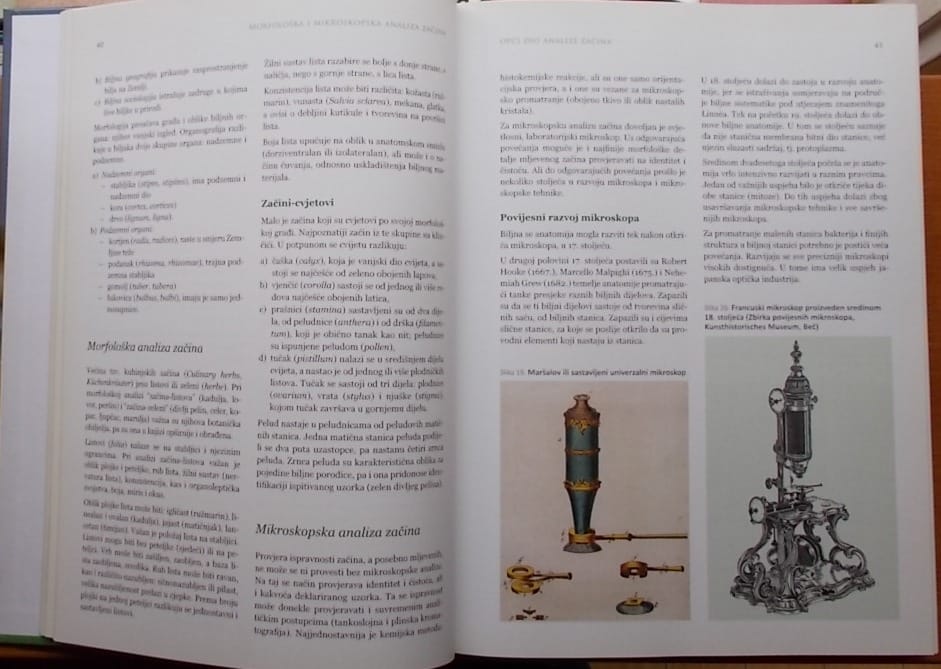 Morfološka i mikroskopska analiza začina - Slika 2