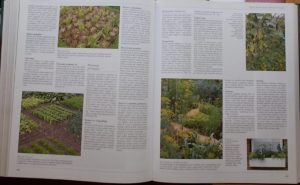 Velika ilustrirana enciklopedija Vrt