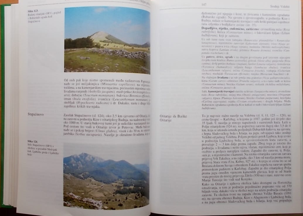 Velebit i njegov biljni svijet - Slika 2