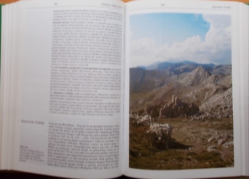 Velebit i njegov biljni svijet - Slika 3