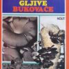 Koso: Gajenje gljive bukovače