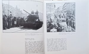 Depolo-Milan Pavić