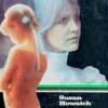 Howatch-Dvorac Penmarric