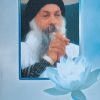 Osho: Bijeli lotos