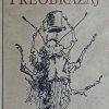 Kafka-Preobražaj