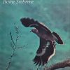 Stražemanac-Povijest franjevačke provincije Bosne Srebrene