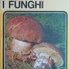 Raccogliamo i funghi